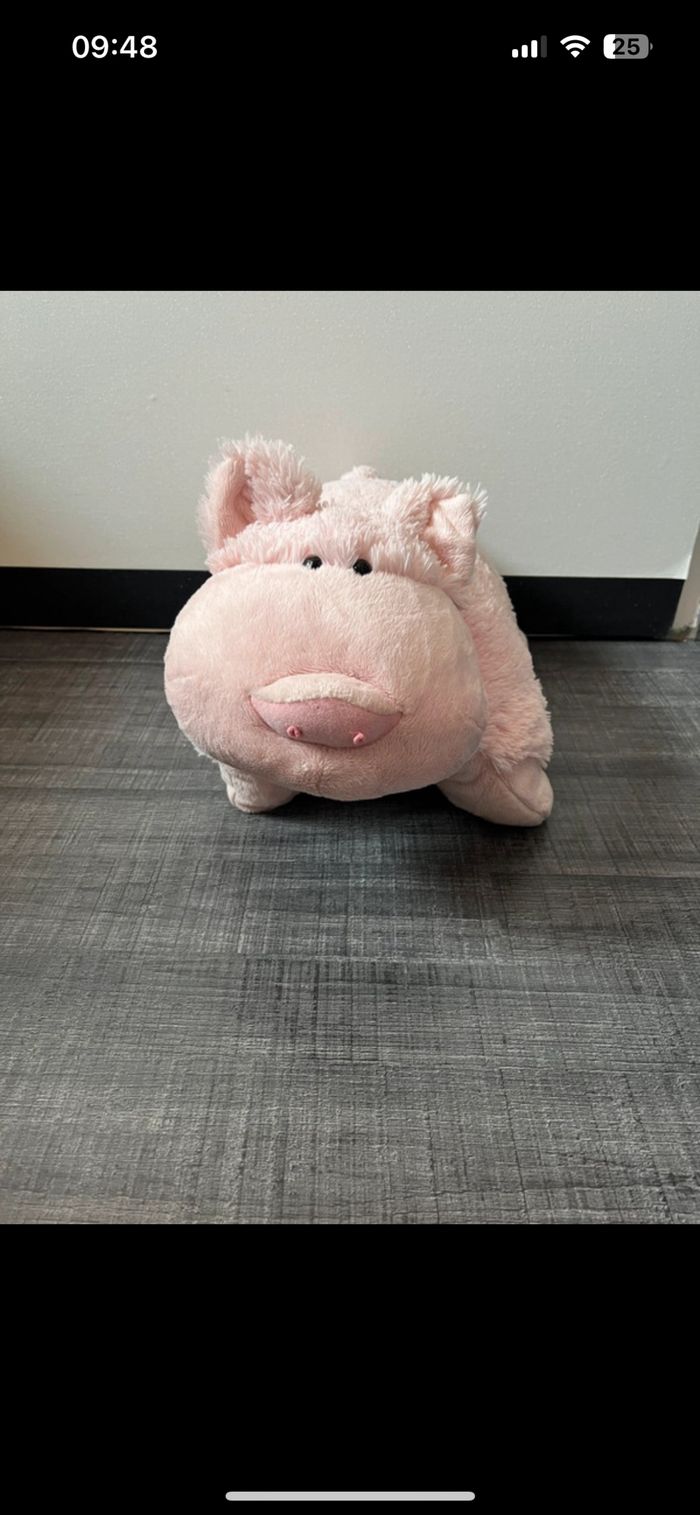 Coussin cochon