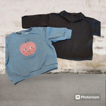 Lot de 2 pulls fille 18 mois kiabi et Tex