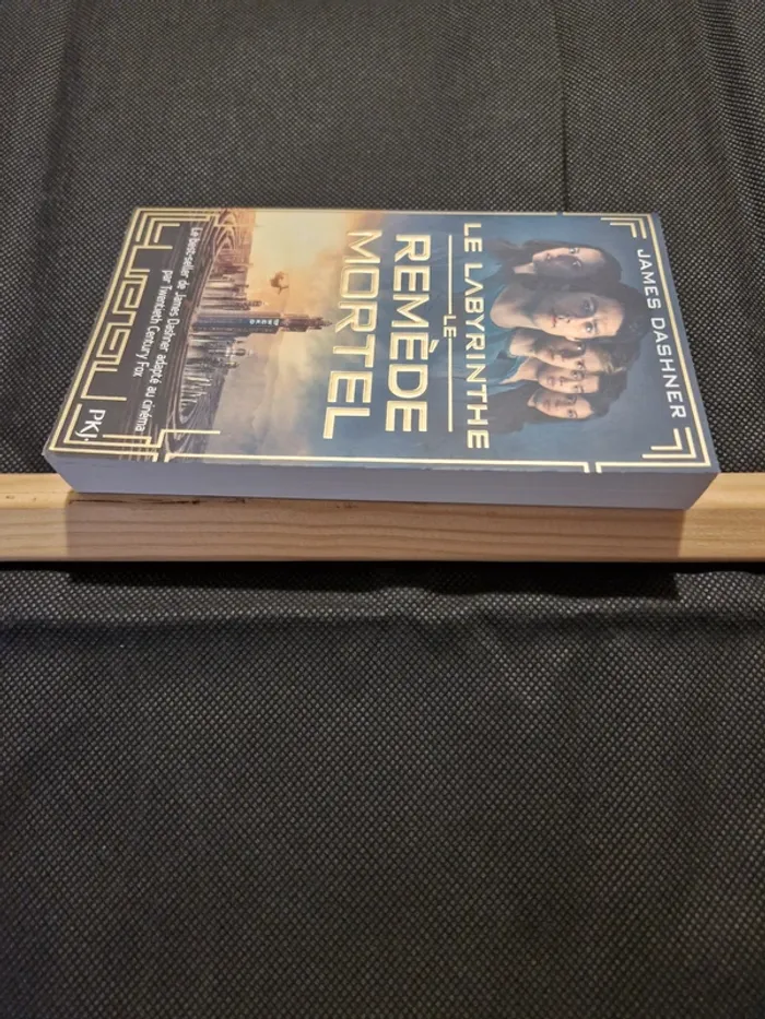 Le labyrinthe - L'épreuve Tome 3 - Le remède mortel - James Dashner - photo numéro 3
