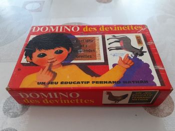Jeu éducatif vintage ( année 70 ) Domino des devinettes de Fernand Nathan