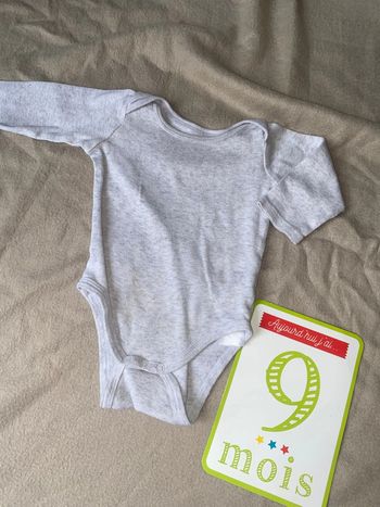 Body gris mixte