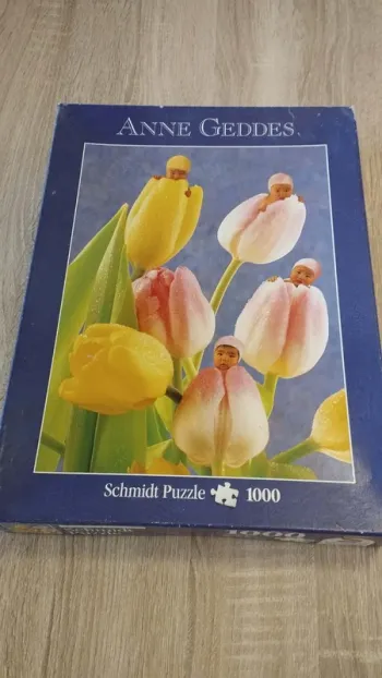 🧩 Puzzle 1000 pièces – Photo Anne Geddes – Schmidt