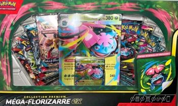 Coffret mega florizarre