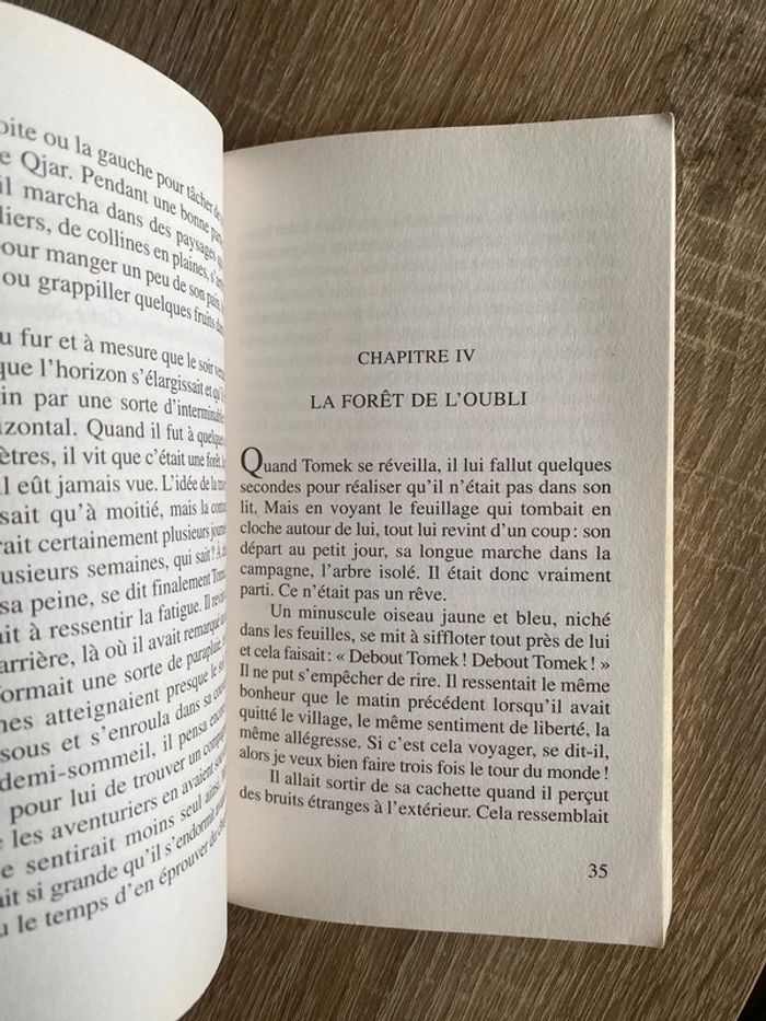 La rivière à l’envers - photo numéro 4