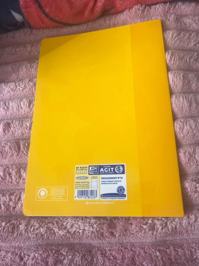 Cahier - photo numéro 3