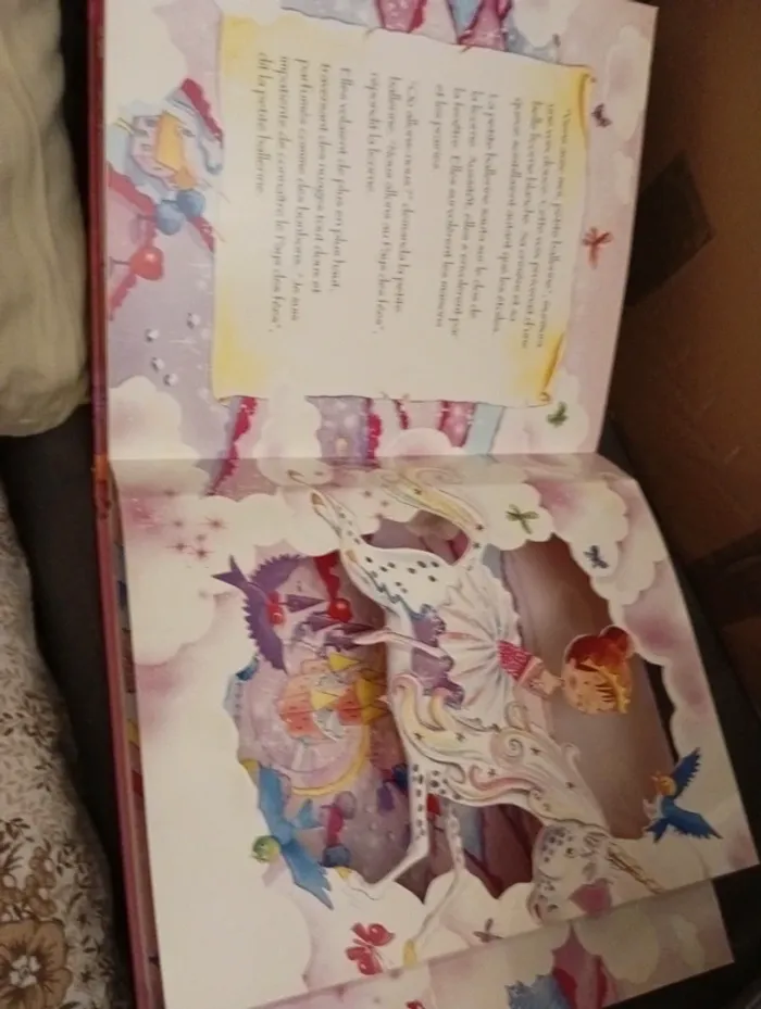 Livre "la ballerine et son rêve " - photo numéro 7