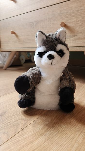 Marionnette raton laveur en peluche
