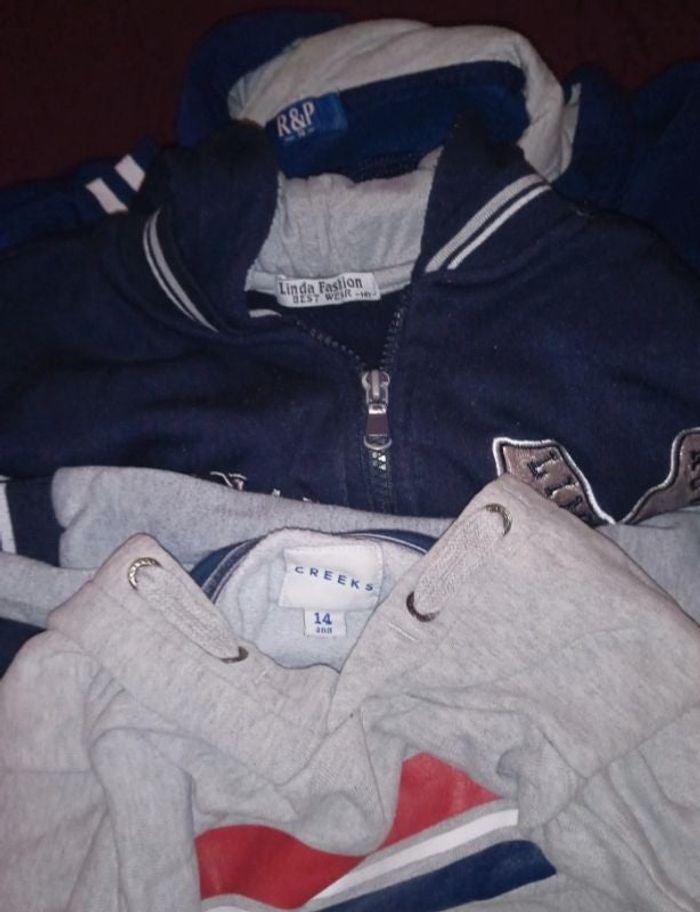 Lot 2 sweat à capuche et 1 gilet