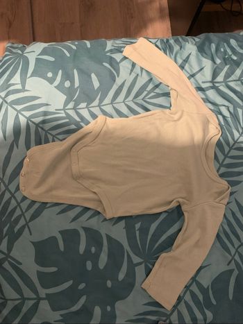 Lot bodies