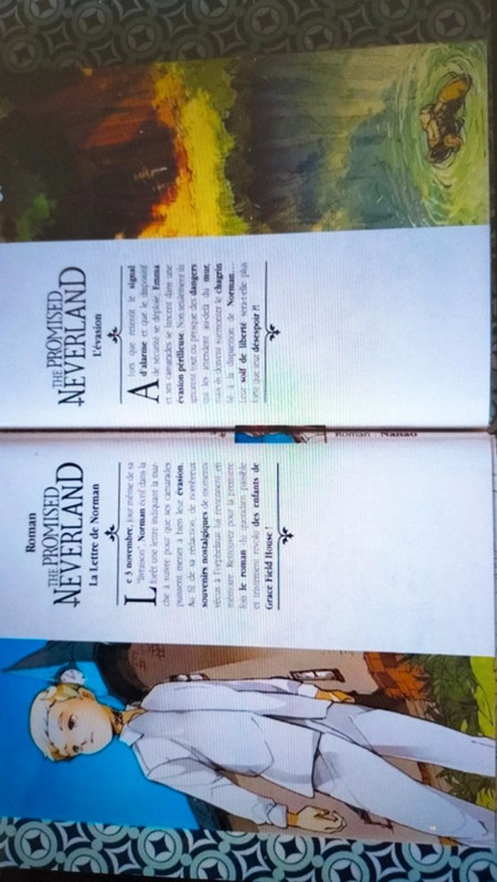 2 Livres ' promised Neverland ' - photo numéro 2