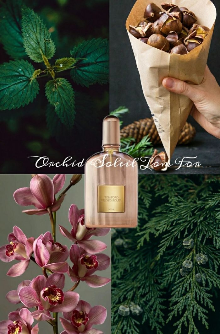 Parfum tom ford Orchid Soleil - photo numéro 2