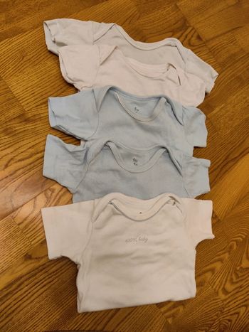 Lot 5 bodies taille 9 mois manches courtes