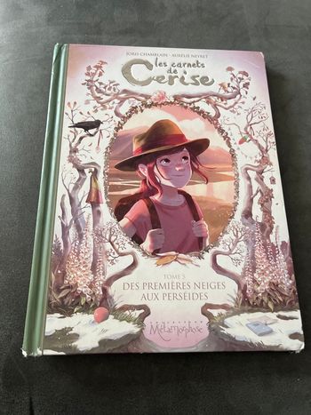 Bd les carnets de cerise tome 3