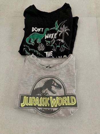 Lot de 2 tshirts dinausore