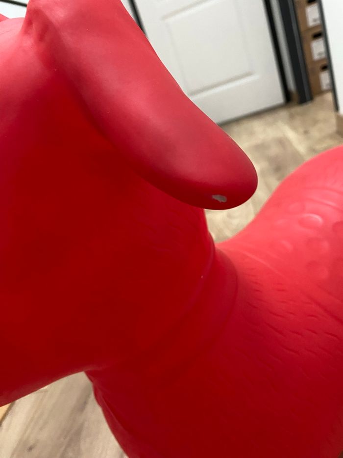 Animal chien sauteur oxybul - photo numéro 3