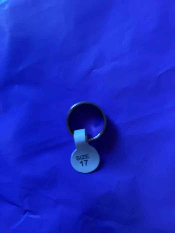 Bague 17 - photo numéro 2