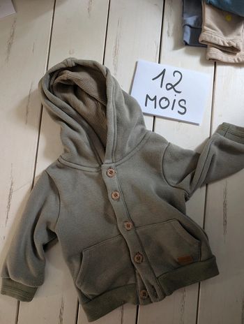 Pull à capuche bébé garçon 12 mois