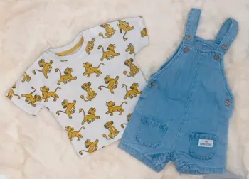 Ensemble Disney