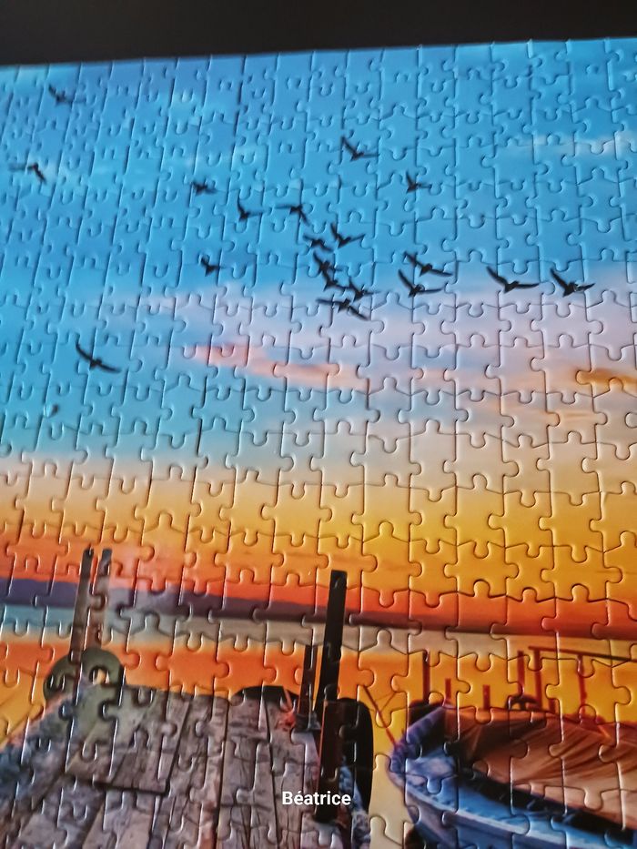 Pulzze 1000 pieces - photo numéro 4