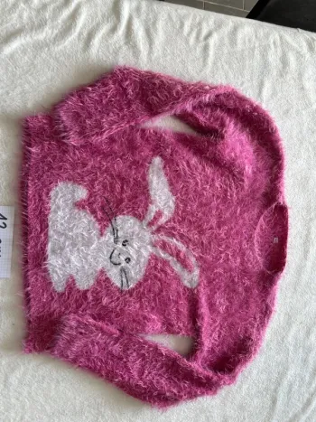 Pull à poils
