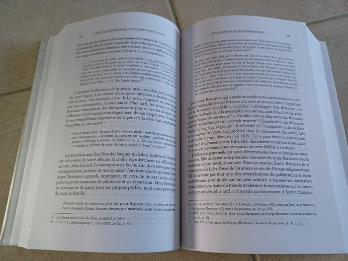 L'héritage théologique de Joseph de Maistre (Louise Durieux) - photo numéro 6