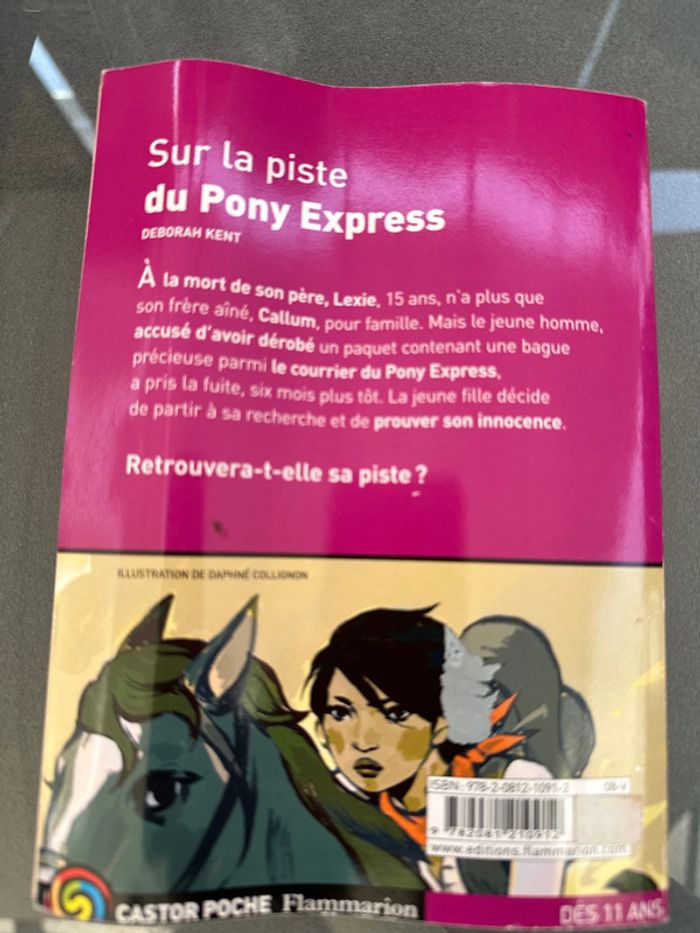 Sur la piste du pont express livre - photo numéro 3