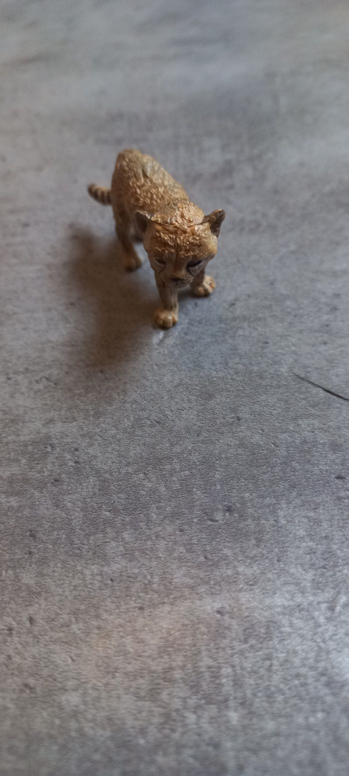 Petit guépard papo