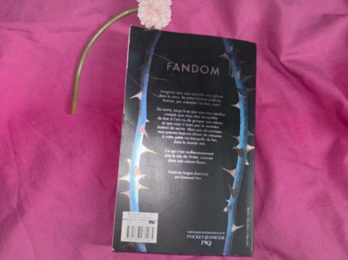 Fandom - photo numéro 2