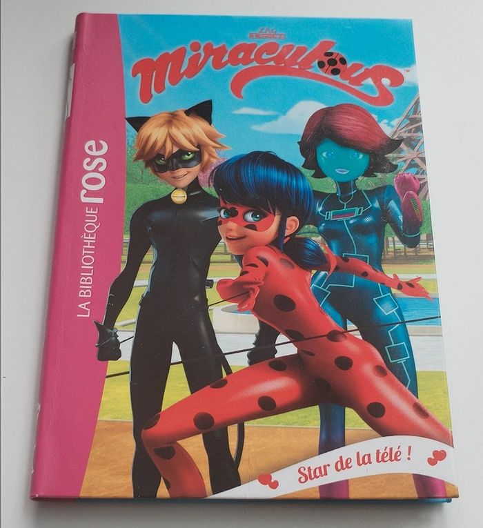 Livre mirculous tome 12