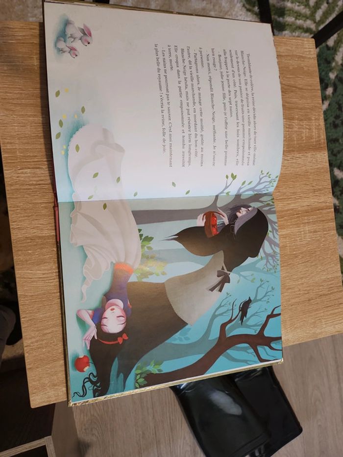 Livre histoire Princesse - photo numéro 10