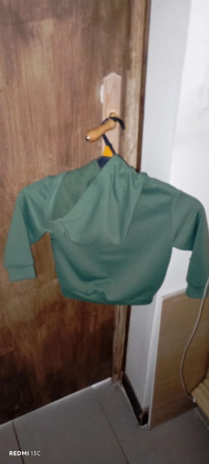 Pull dino - photo numéro 2