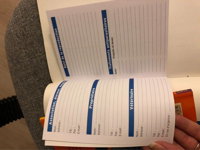 Livre Mon furet - photo numéro 5