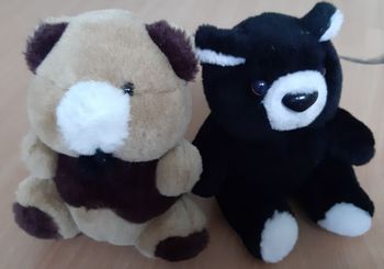 Peluches ours