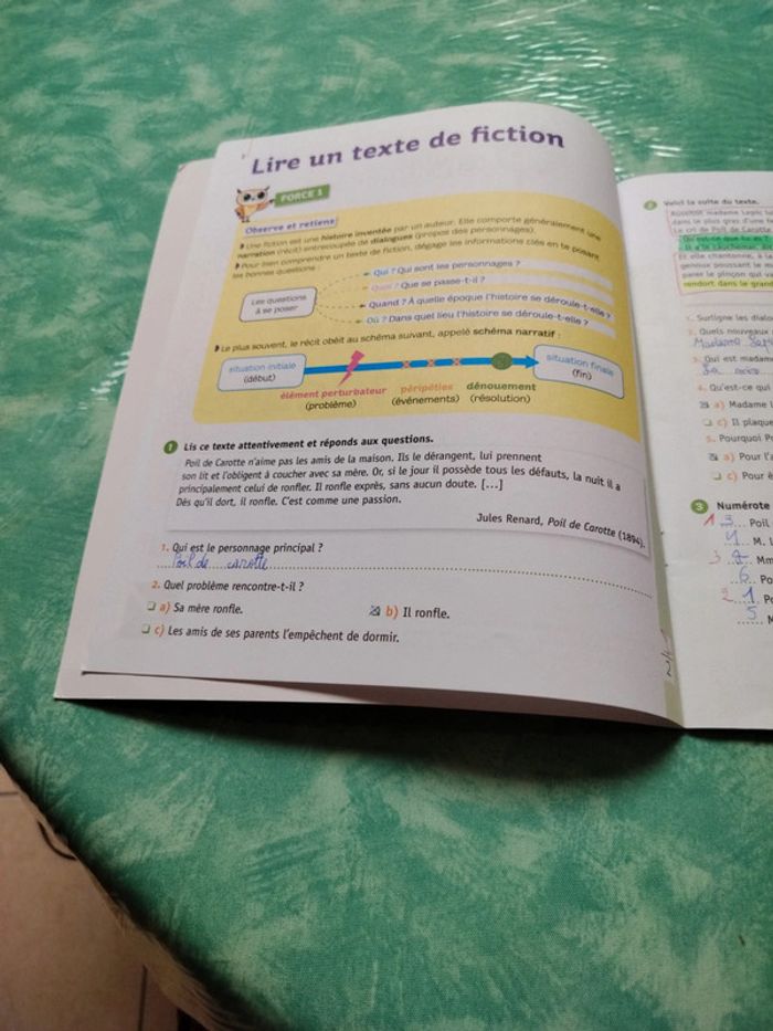 Mini chouette - photo numéro 3