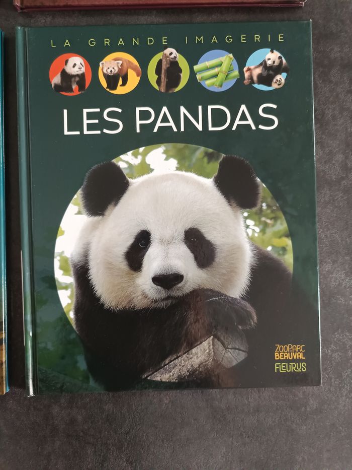 Livre la grande imagerie - photo numéro 10