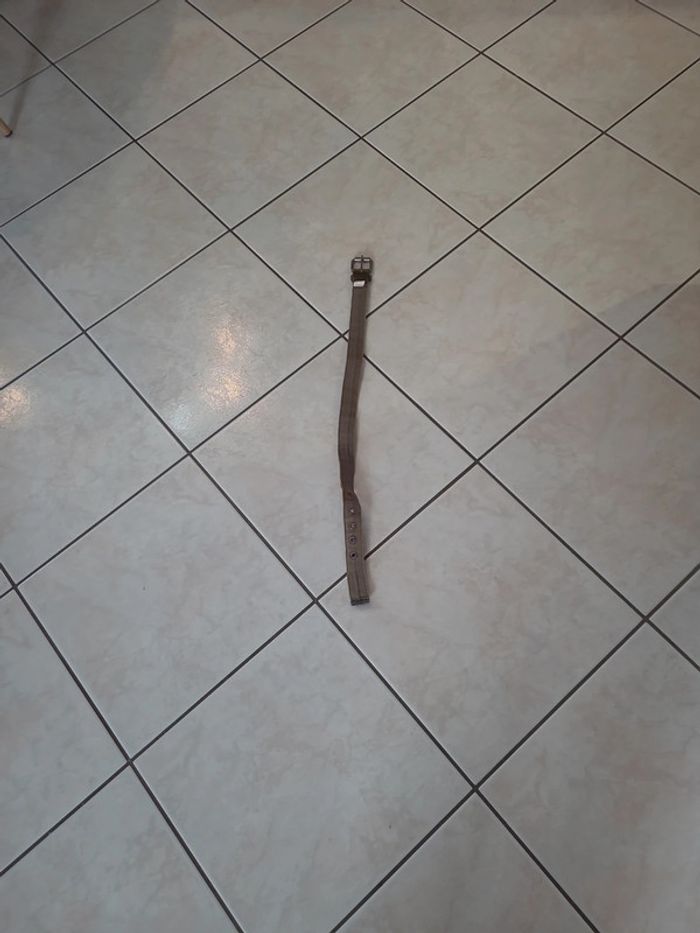 Ceinture enfant Orchestra / 55 cm - photo numéro 5