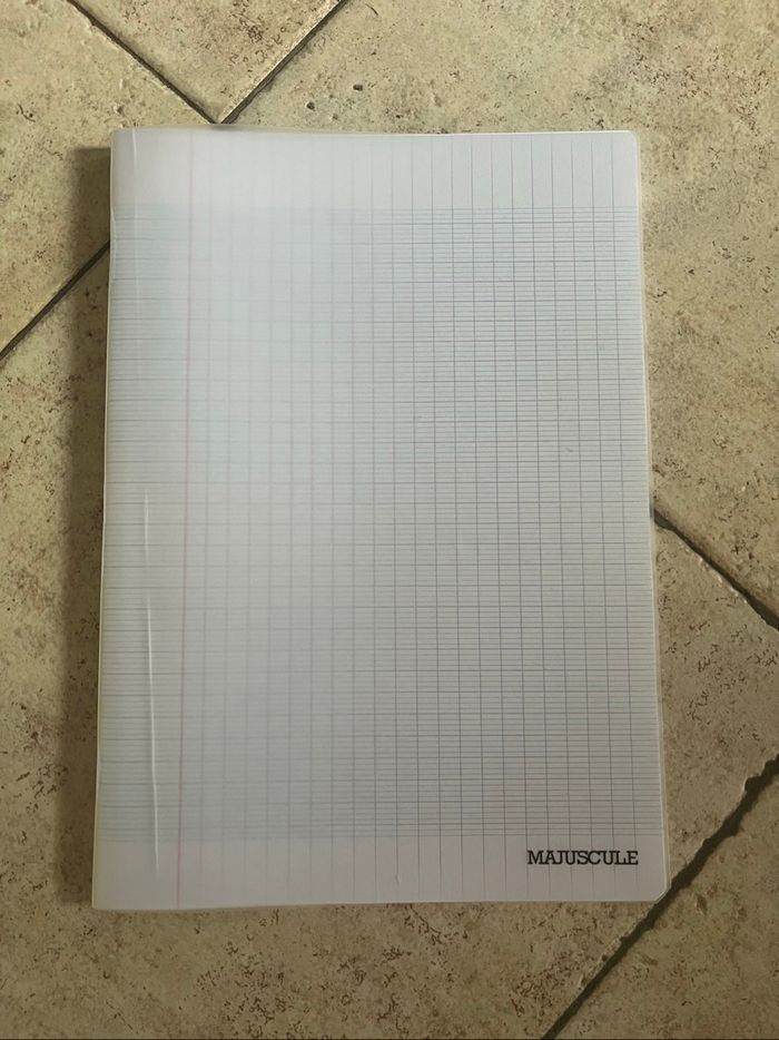 Lot de papeterie (cahiers et feuilles) - photo numéro 3