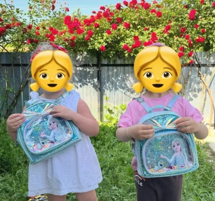 Sacs à dos Frozen - photo numéro 2