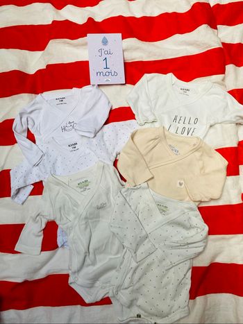 Lot 6 bodies
