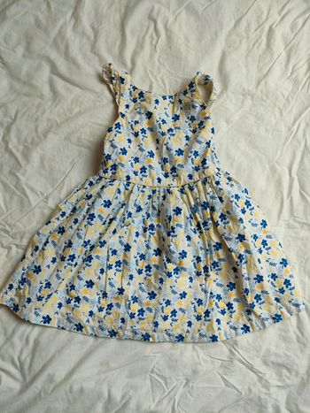 Robe l'œuf d'or Sergent Major