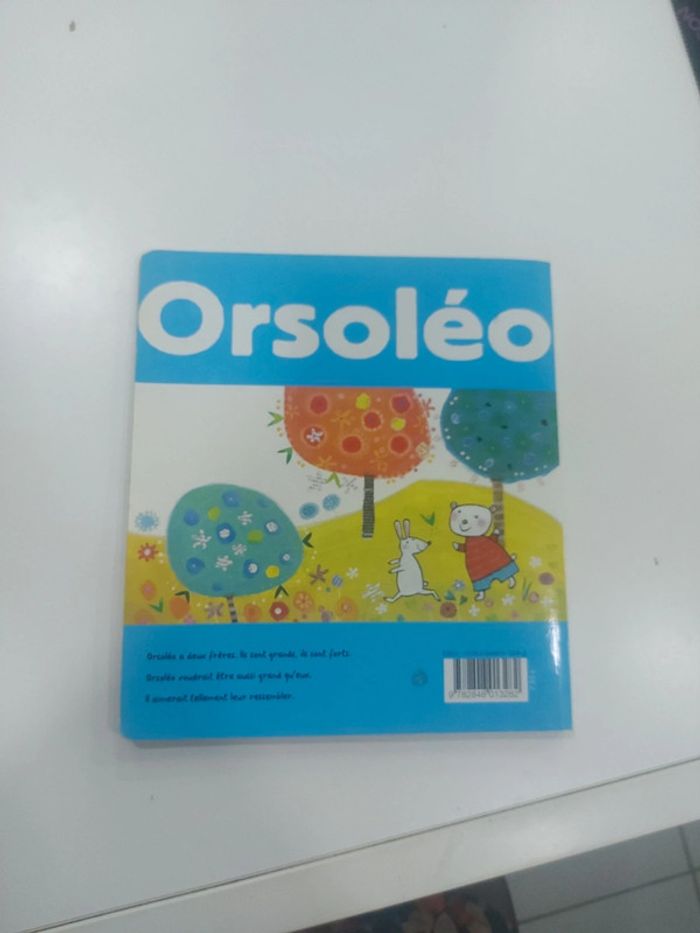 Livre Orsoleo devient grand - photo numéro 2