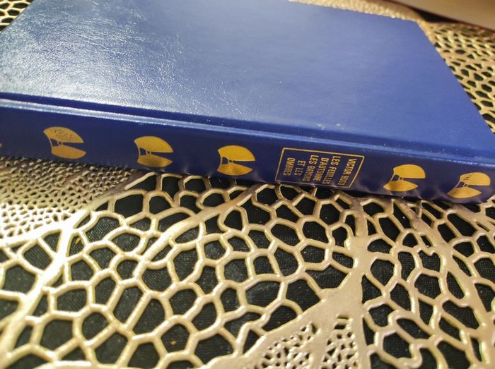 Victor Hugo - grands écrivains - photo numéro 2