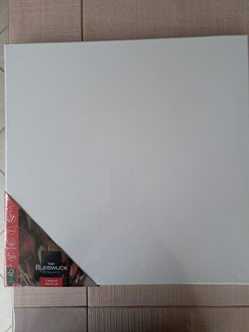 Toiles pour peinture Van Bleiswijck (39x39 cm)
