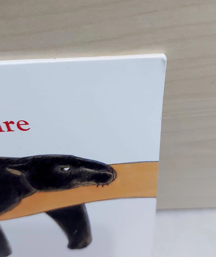 🌺 Livre (école des loisirs) : La panthère noire - photo numéro 5