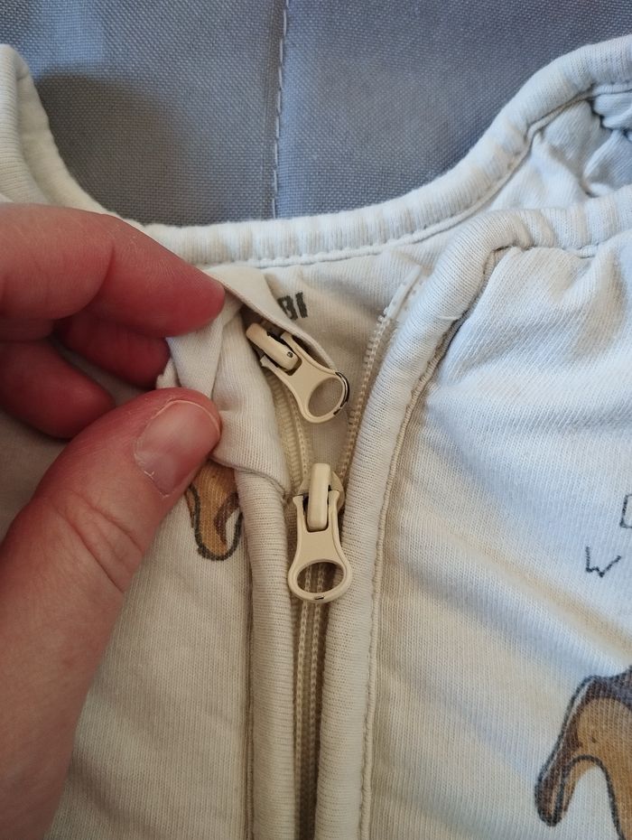 Gigoteuse dinosaure - photo numéro 4