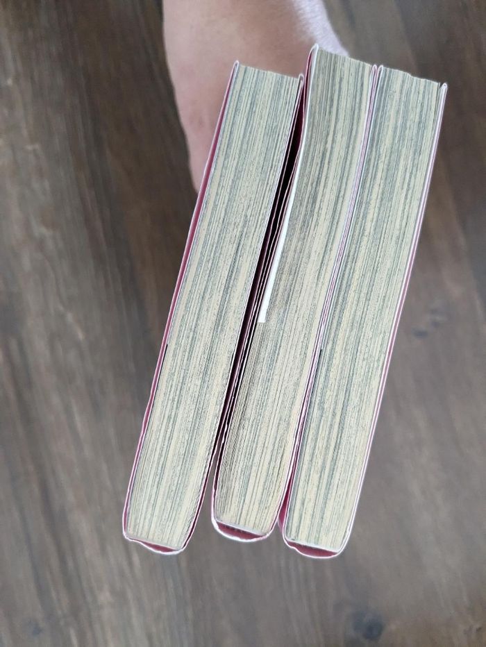 Lot de 3 mangas maid sama 1, 2 et 3 - photo numéro 2