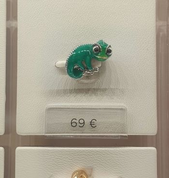 Charms Pascal Raiponce