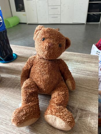 Ours en peluche
