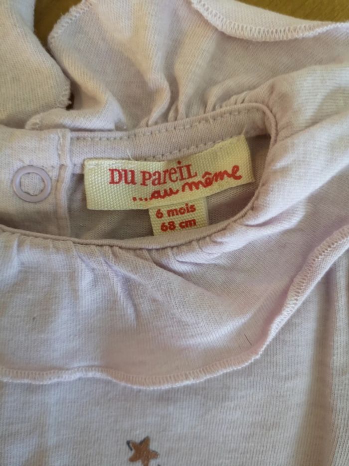 Bodie 6 mois - photo numéro 2