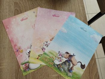 3 feuilles A5 Diddl Mid